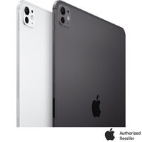 Apple 11 in. iPad Pro Wi-Fi 256GB with Standard Glass