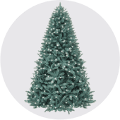 Holiday Deals